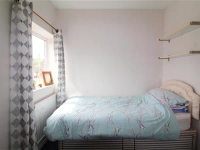 Picture 11